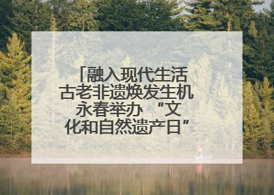 融入现代生活 古老非遗焕发生机 永春举办 “文化和自然遗产日” 非遗快闪活动