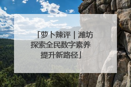 萝卜辣评｜潍坊探索全民数字素养提升新路径