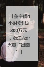 董宇辉4小时卖出3800万元，潜江龙虾火爆“出圈”