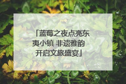 蓝莓之夜点亮东夷小镇 非遗雅韵开启文旅盛宴