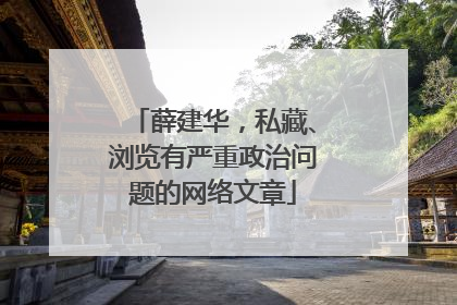 薛建华，私藏、浏览有严重政治问题的网络文章