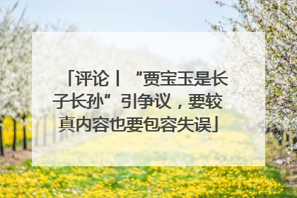 评论丨“贾宝玉是长子长孙”引争议，要较真内容也要包容失误