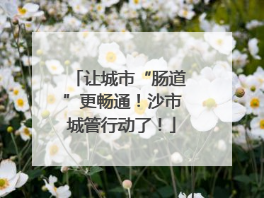让城市“肠道”更畅通！沙市城管行动了！