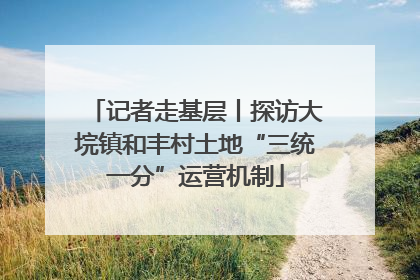 记者走基层丨探访大垸镇和丰村土地“三统一分”运营机制