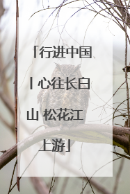 行进中国丨心往长白山 松花江上游