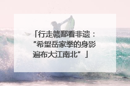 行走赣鄱看非遗：“希望岳家拳的身影遍布大江南北”