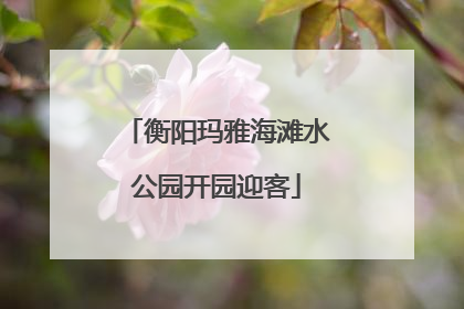 衡阳玛雅海滩水公园开园迎客