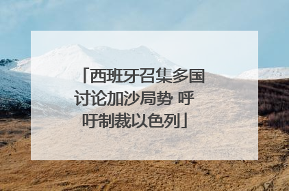 西班牙召集多国讨论加沙局势 呼吁制裁以色列