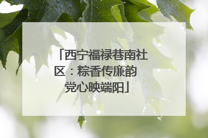 西宁福禄巷南社区：粽香传廉韵 党心映端阳