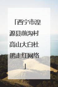 西宁市湟源县前沟村高山大白杜鹃走红网络