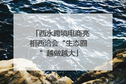 西永跨境电商亮相西洽会“生态圈”越做越大