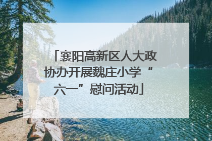 襄阳高新区人大政协办开展魏庄小学“六一”慰问活动