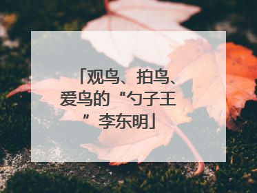 观鸟、拍鸟、爱鸟的“勺子王”李东明