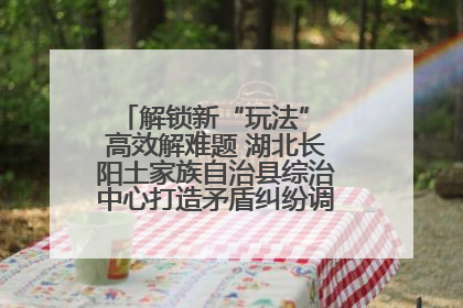解锁新“玩法” 高效解难题 湖北长阳土家族自治县综治中心打造矛盾纠纷调处“终点站”
