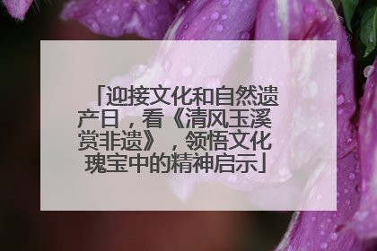 迎接文化和自然遗产日，看《清风玉溪赏非遗》，领悟文化瑰宝中的精神启示