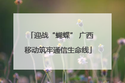 迎战“蝴蝶” 广西移动筑牢通信生命线