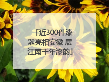 近300件漆器亮相安徽 展江南千年漆韵