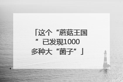 这个“蘑菇王国”已发现1000多种大“菌子”