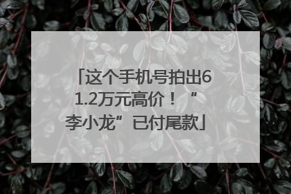 这个手机号拍出61.2万元高价！“李小龙”已付尾款