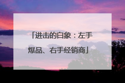 进击的白象：左手爆品、右手经销商