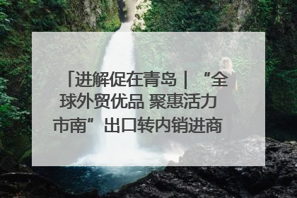 进解促在青岛｜“全球外贸优品 聚惠活力市南”出口转内销进商超专场活动启动