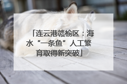 连云港赣榆区：海水“一条鱼”人工繁育取得新突破