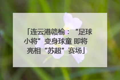 连云港赣榆：“足球小将”变身球童 即将亮相“苏超”赛场