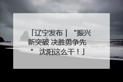 辽宁发布｜“振兴新突破 决胜勇争先” 沈阳这么干！