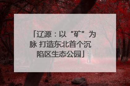 辽源：以“矿”为脉 打造东北首个沉陷区生态公园