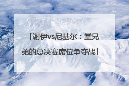 谢伊vs尼基尔：堂兄弟的总决赛席位争夺战