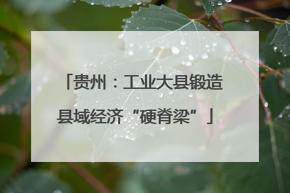 贵州：工业大县锻造县域经济“硬脊梁”