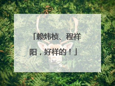 赖炜桢、程祥阳，好样的！