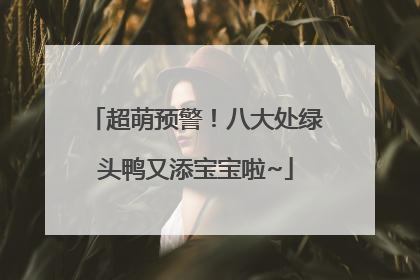 超萌预警！八大处绿头鸭又添宝宝啦~