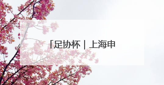足协杯｜上海申花胜上海海港