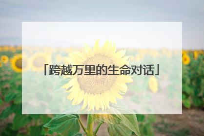 跨越万里的生命对话