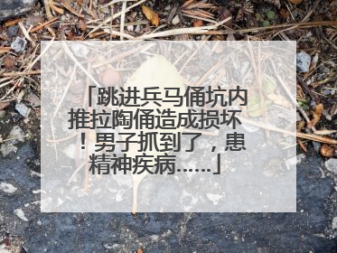 跳进兵马俑坑内推拉陶俑造成损坏！男子抓到了，患精神疾病……