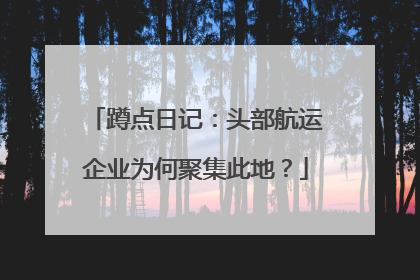 蹲点日记：头部航运企业为何聚集此地？