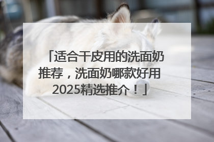 适合干皮用的洗面奶推荐，洗面奶哪款好用2025精选推介！
