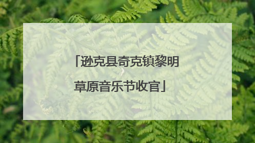 逊克县奇克镇黎明草原音乐节收官