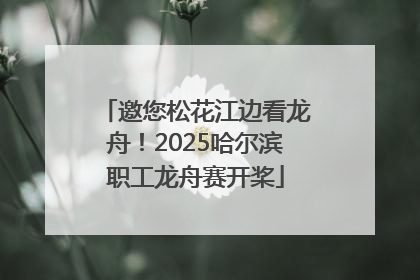 邀您松花江边看龙舟！2025哈尔滨职工龙舟赛开桨