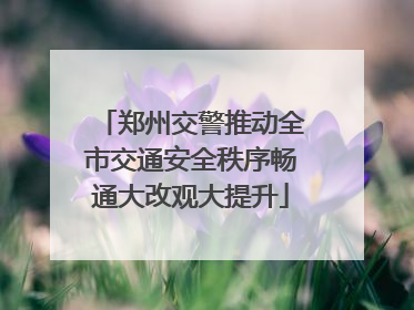 郑州交警推动全市交通安全秩序畅通大改观大提升