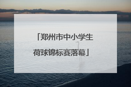 郑州市中小学生荷球锦标赛落幕