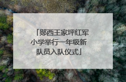 郧西王家坪红军小学举行一年级新队员入队仪式