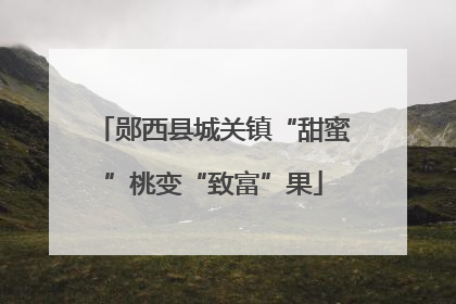 郧西县城关镇“甜蜜”桃变“致富”果