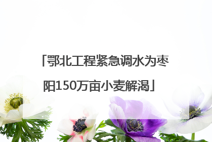 鄂北工程紧急调水为枣阳150万亩小麦解渴