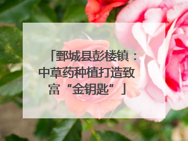 鄄城县彭楼镇：中草药种植打造致富“金钥匙”