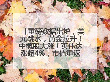 重磅数据出炉，美元跳水，黄金拉升！中概股大涨！英伟达涨超4%，市值重返全球第一！黄仁勋计划出售至多600万股股票