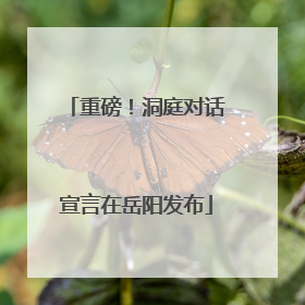 重磅！洞庭对话宣言在岳阳发布