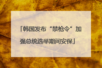 韩国发布“禁枪令”加强总统选举期间安保