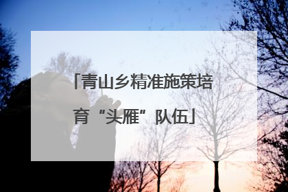 青山乡精准施策培育“头雁”队伍